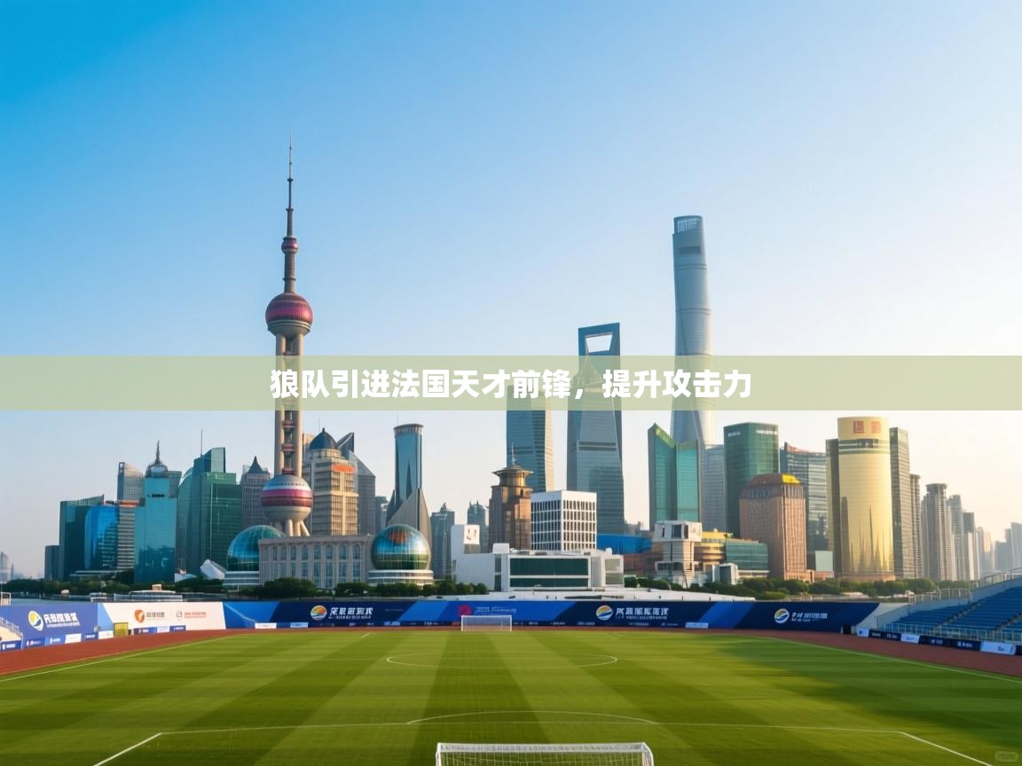 爱游戏体育全站入口-狼队引进法国天才前锋，提升攻击力  第1张