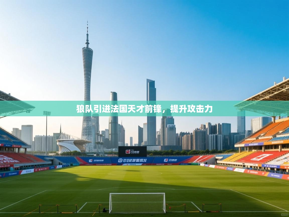 爱游戏体育全站入口-狼队引进法国天才前锋，提升攻击力  第4张