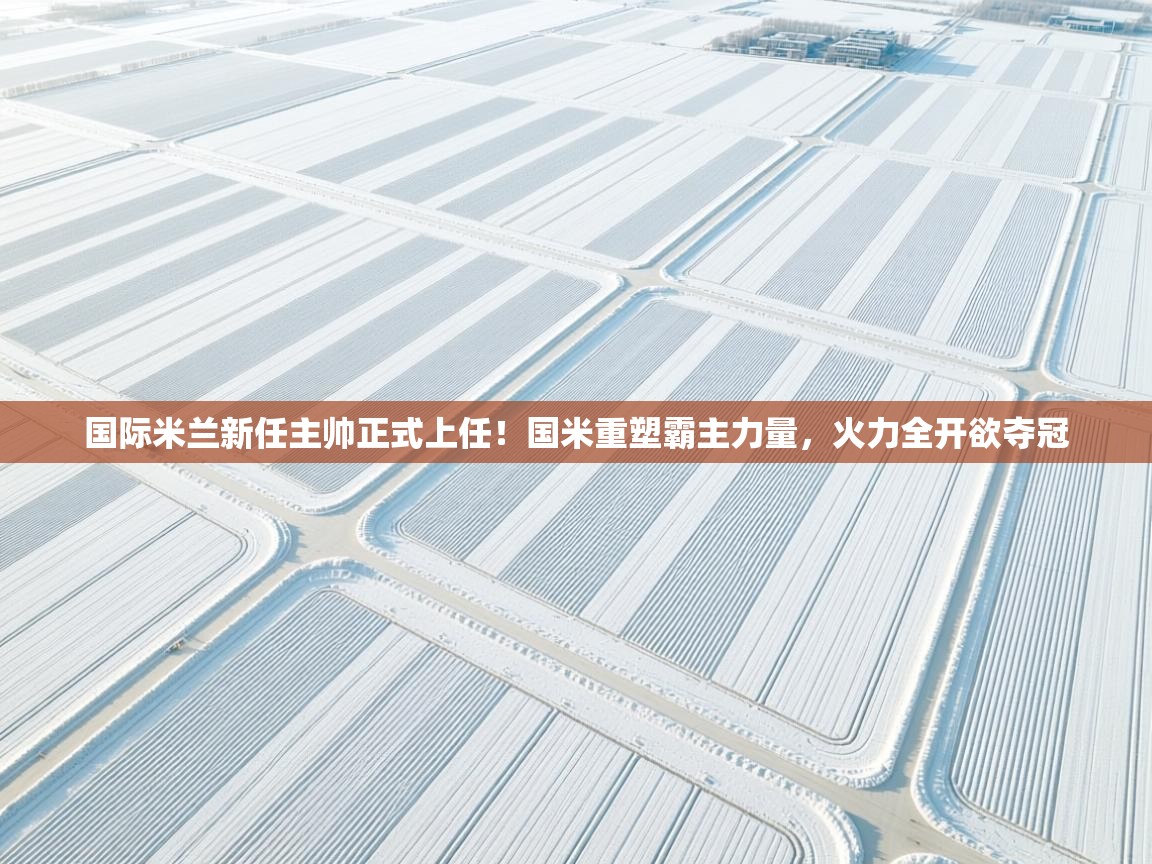 爱游戏-国际米兰新任主帅正式上任！国米重塑霸主力量，火力全开欲夺冠  第1张