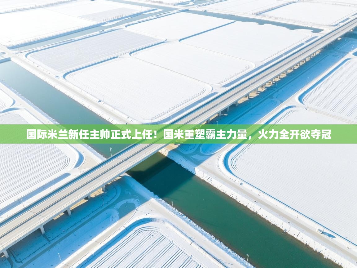 爱游戏-国际米兰新任主帅正式上任！国米重塑霸主力量，火力全开欲夺冠  第2张